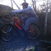 ludo49 avatar