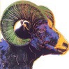 larsencyclOcrampOns avatar