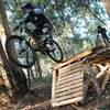 NaJo avatar