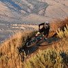 booboo-rider avatar