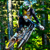 freeridelives avatar