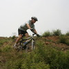 upingxu avatar
