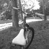 cswbike avatar