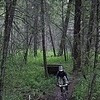 Pinkbike profile picture for @boombox