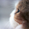 Pinkbike profile picture for @ttttt