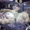 seanlegan avatar