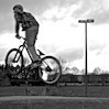 bikerharvey1 avatar