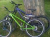 Pinkbike profile picture for @merrill