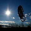 felixdeso avatar