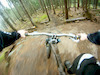 ross448 avatar