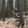 nanoudge99 avatar
