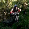 darkstarcoven avatar