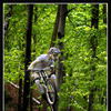 Pinkbike profile picture for @sasho