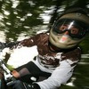 kylle avatar