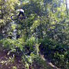 krazybmxer avatar