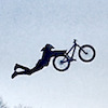 gapi avatar