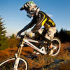 Rozzi avatar