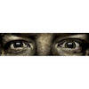 kyphoto avatar