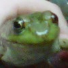 bgonzalez avatar