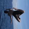 jacob-grobisen avatar