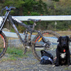 NZralphie avatar