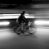 Pinkbike profile picture for @Everybody