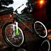 kaskader13 avatar