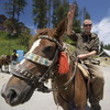freeride-kashmir avatar