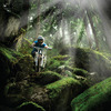 Pinkbike profile picture for @members