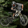 tommyboy250 avatar