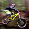 tpcabral88 avatar