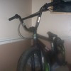abbott12 avatar