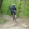 hnrx avatar