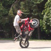 ivoleandro avatar