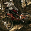 Kalin455 avatar