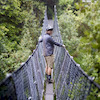 toddcycles avatar