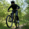 Pinkbike profile picture for @insect