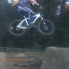 dakotadog avatar