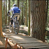 bearclaw56 avatar