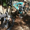 dh303sendit avatar