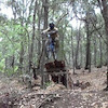 memo-herdez avatar