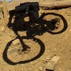 omlett avatar