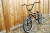 ilovebmx666 avatar