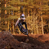 rossfr avatar