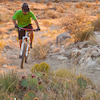 pholange avatar
