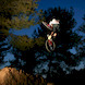GerardPlata avatar