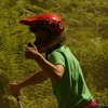 TOM-ATKINSON avatar