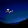 bigmike0351 avatar