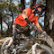 getnflwy42 avatar