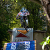skandy26 avatar